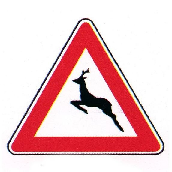 صورة السؤال